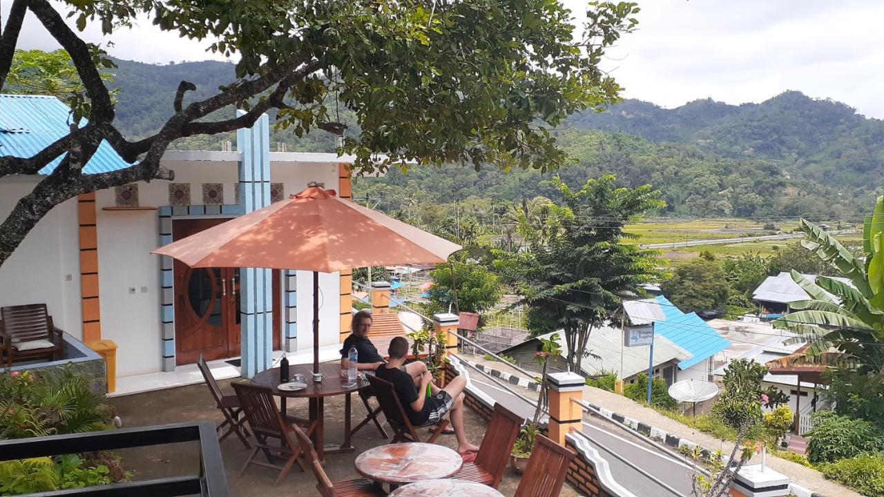 Bintang Bungalow Tour & Travel Kelimutu Kültér fotó